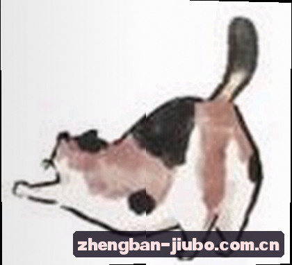 李婷